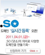 한글도메인